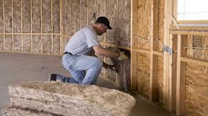 Best Basement Insulation  in Grapevine, TX